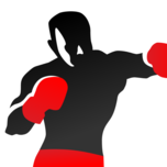 Heavy Bag Pro ikonu